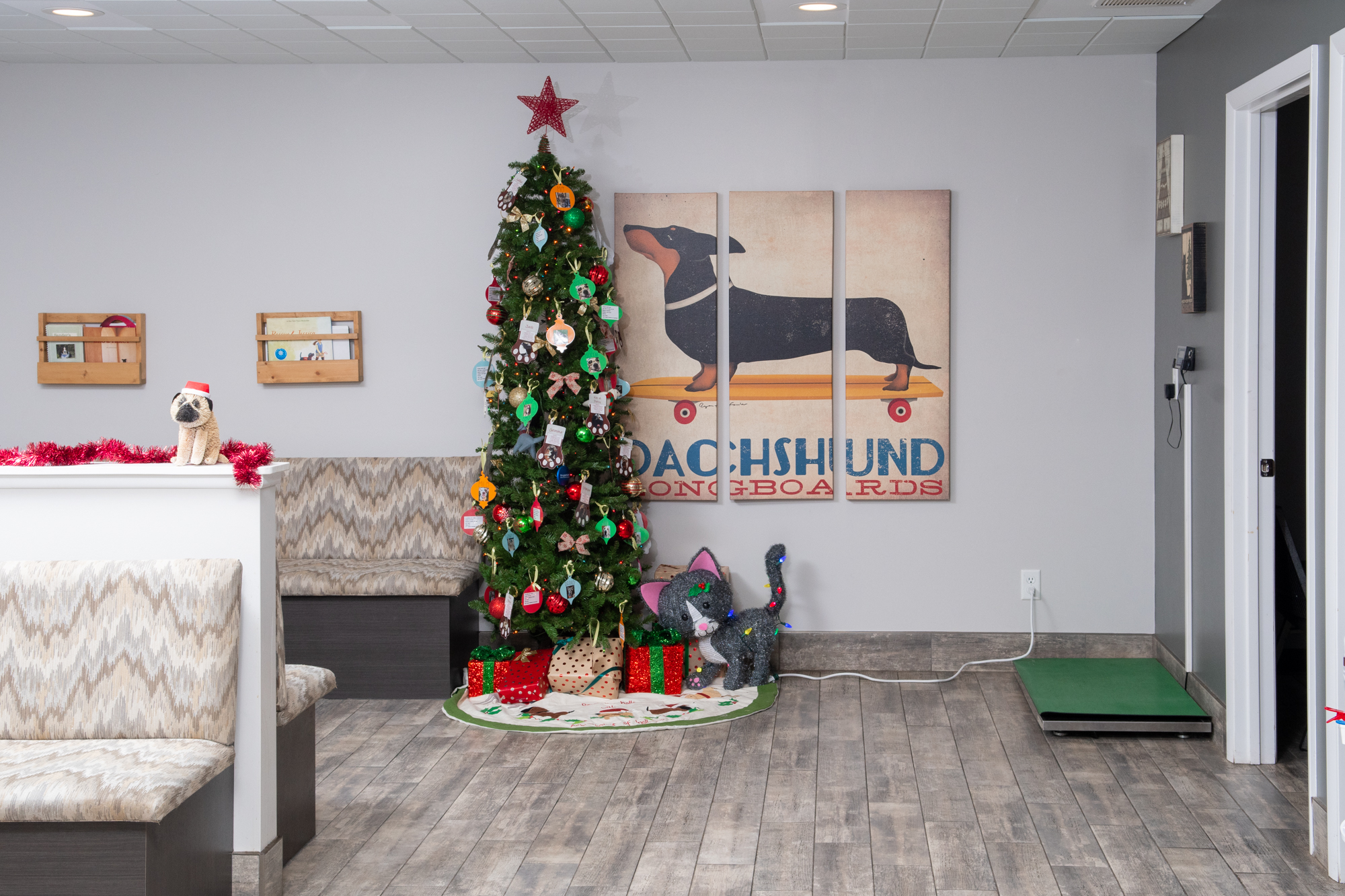 HighQuality Vet Hospital in Lowell, IN Lowell Animal Hospital